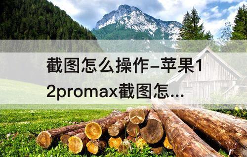截图怎么操作-苹果12promax截图怎么操作