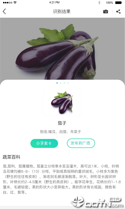 识菜君  v1.0.0图3