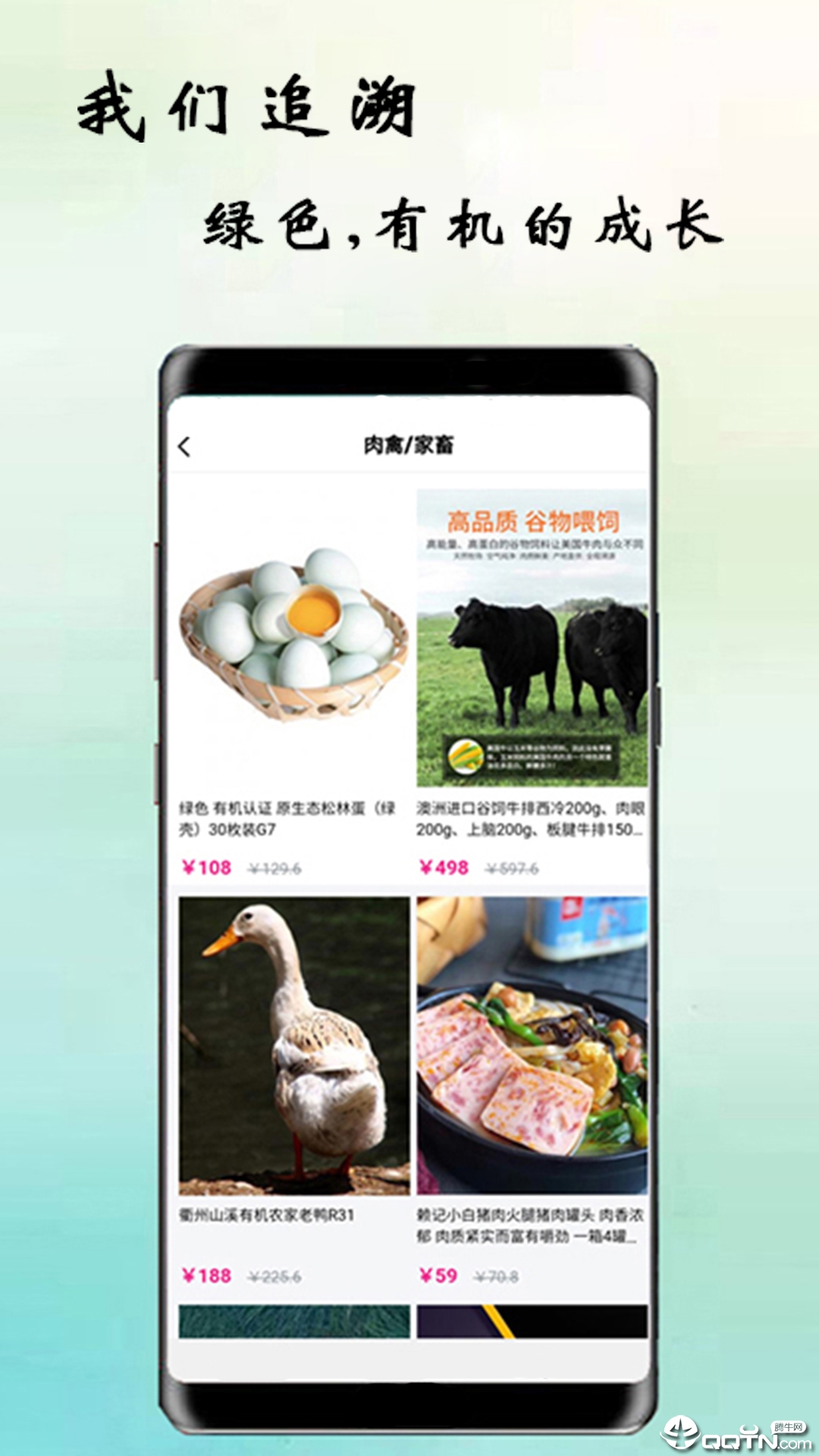 鹦鹉街  v1.0.29图4