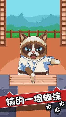 不好了猫(Oh
