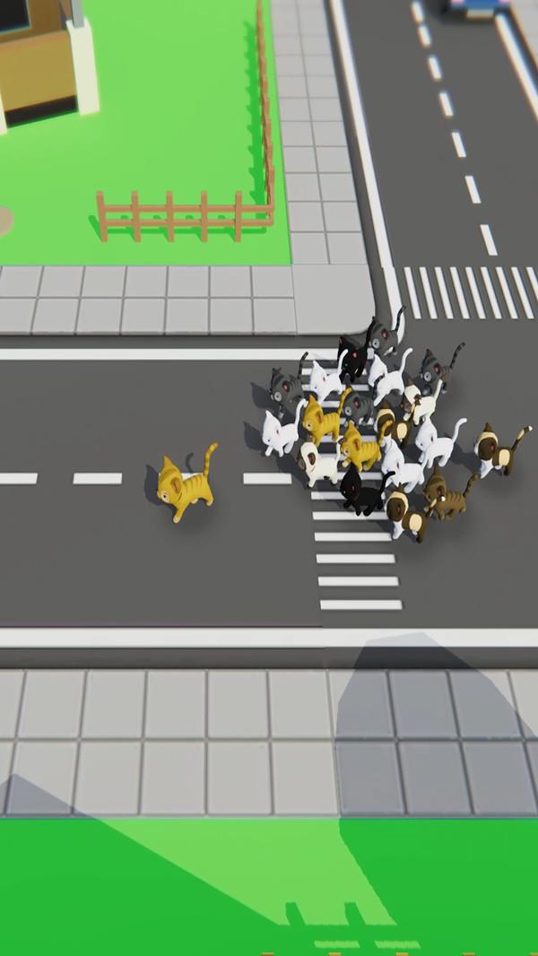 寻找猫咪