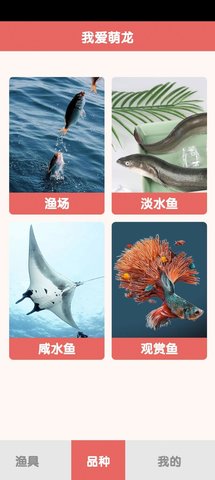 萌龙乐园  v1.0.0图1