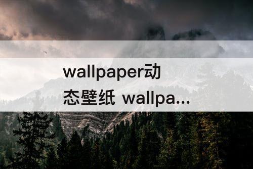 wallpaper动态壁纸 wallpaper动态壁纸不动什么原因