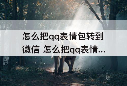 怎么把qq表情包转到微信 怎么把qq表情包转到微信上
