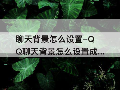 聊天背景怎么设置-QQ聊天背景怎么设置成黑色