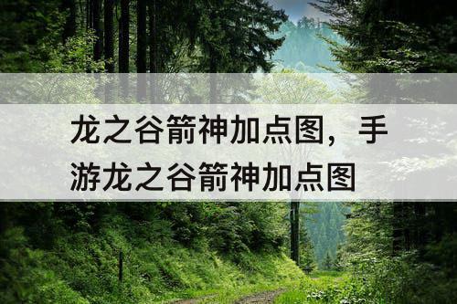 龙之谷箭神加点图，手游龙之谷箭神加点图