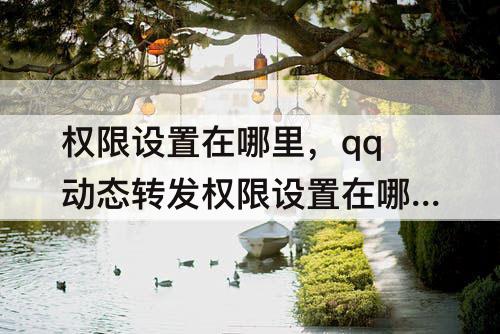 权限设置在哪里，qq动态转发权限设置在哪里苹果