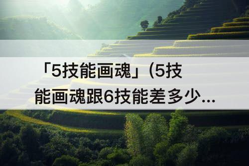 「5技能画魂」(5技能画魂跟6技能差多少钱)