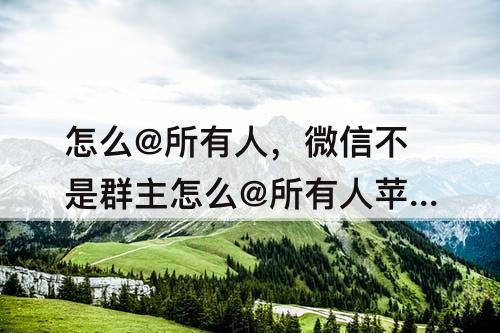怎么@所有人，微信不是群主怎么@所有人苹果
