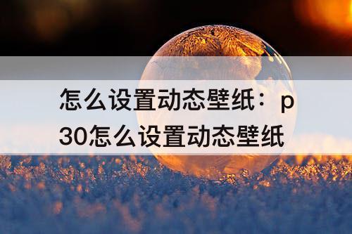 怎么设置动态壁纸：p30怎么设置动态壁纸