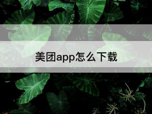 美团app怎么下载