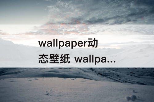 wallpaper动态壁纸 wallpaper动态壁纸二次元壁纸