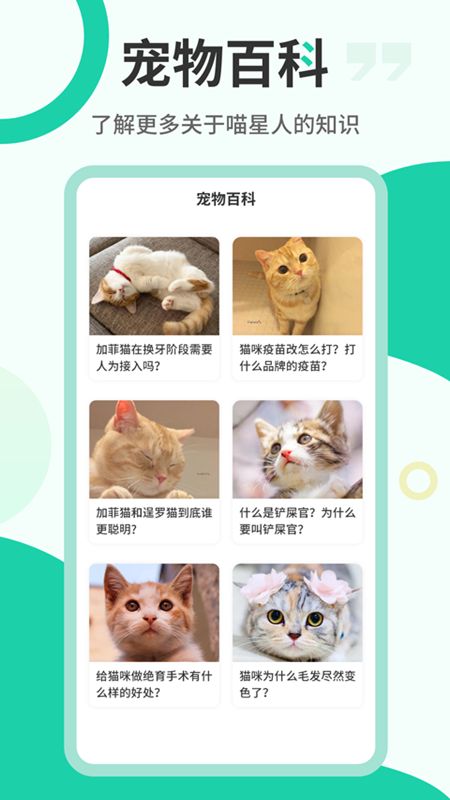 猫叫翻译机  v2.6.3图1