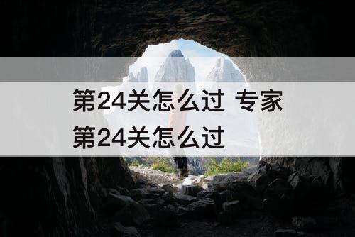第24关怎么过 专家第24关怎么过
