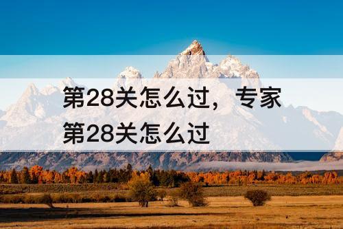 第28关怎么过，专家第28关怎么过