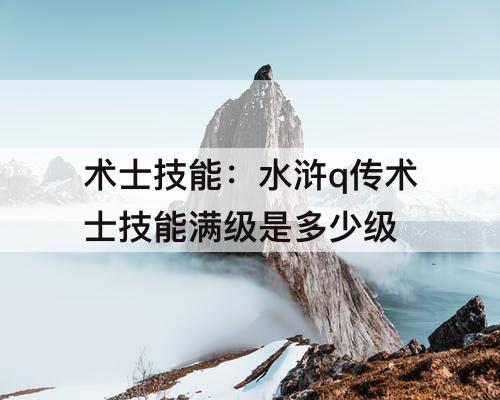 术士技能：水浒q传术士技能满级是多少级