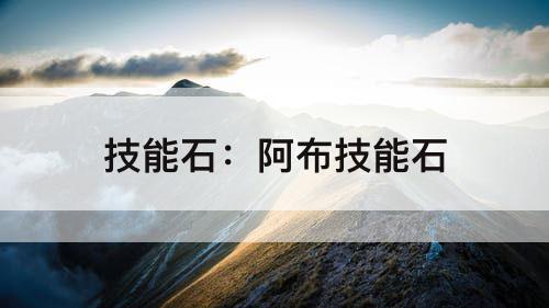 技能石：阿布技能石
