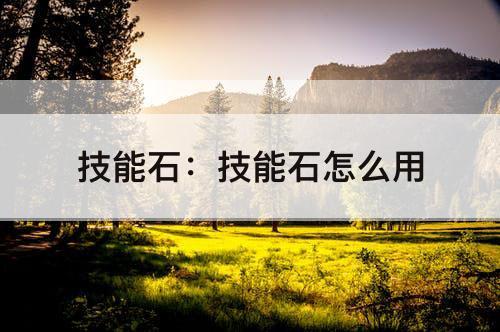 技能石：技能石怎么用