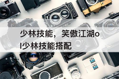 少林技能，笑傲江湖ol少林技能搭配