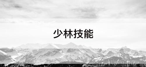 少林技能