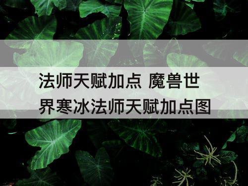 法师天赋加点 魔兽世界寒冰法师天赋加点图