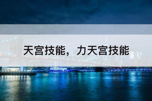 天宫技能，力天宫技能