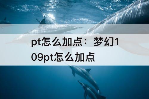 pt怎么加点：梦幻109pt怎么加点