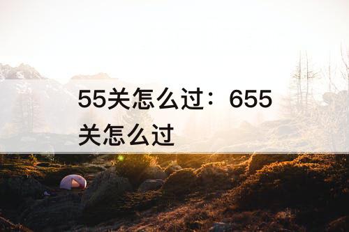 55关怎么过：655关怎么过