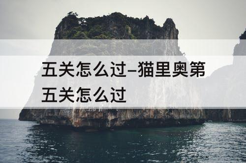 五关怎么过-猫里奥第五关怎么过