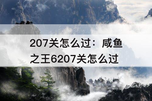 207关怎么过：咸鱼之王6207关怎么过