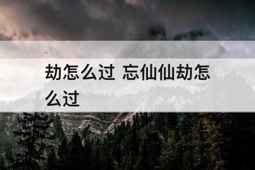 劫怎么过 忘仙仙劫怎么过