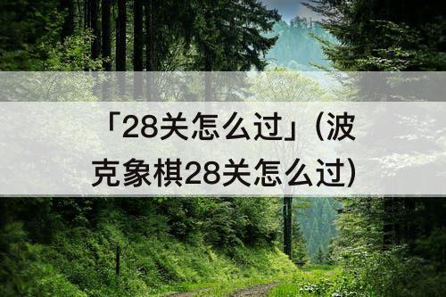 「28关怎么过」(波克象棋28关怎么过)
