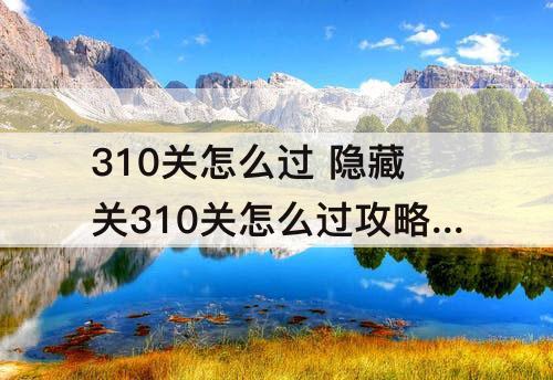 310关怎么过 隐藏关310关怎么过攻略教程