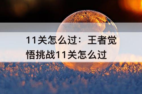 11关怎么过：王者觉悟挑战11关怎么过