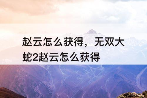 赵云怎么获得，无双大蛇2赵云怎么获得