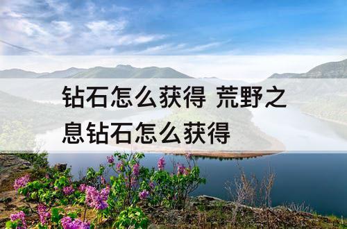 钻石怎么获得 荒野之息钻石怎么获得