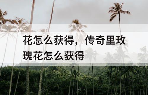 花怎么获得，传奇里玫瑰花怎么获得