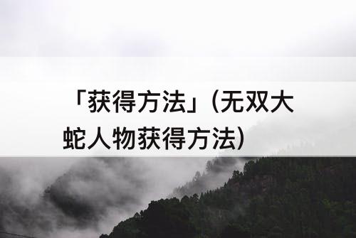 「获得方法」(无双大蛇人物获得方法)