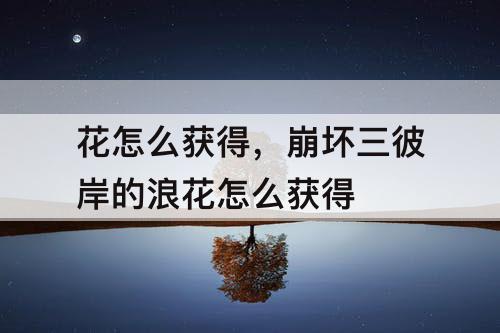 花怎么获得，崩坏三彼岸的浪花怎么获得