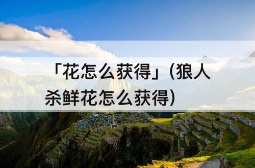 「花怎么获得」(狼人杀鲜花怎么获得)