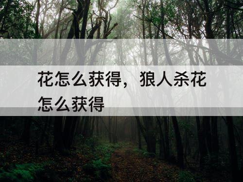 花怎么获得，狼人杀花怎么获得