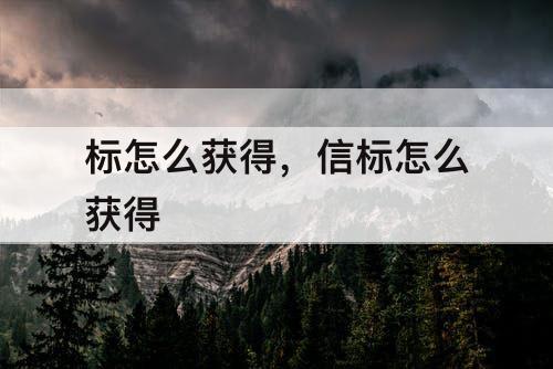 标怎么获得，信标怎么获得
