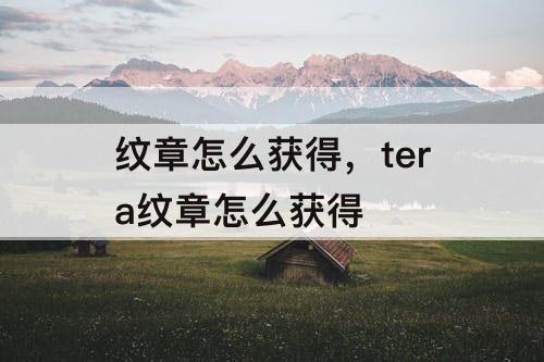 纹章怎么获得，tera纹章怎么获得