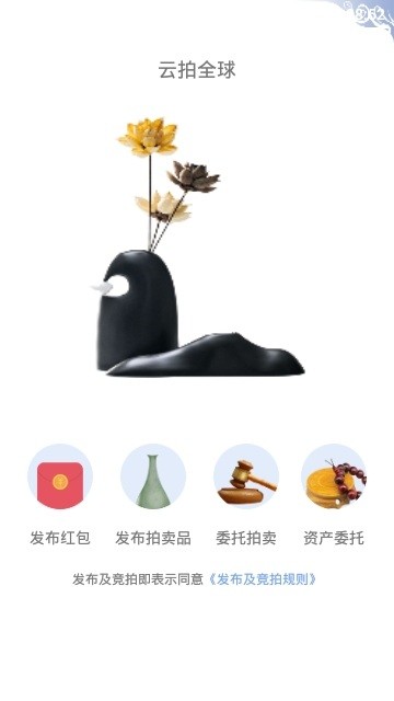 云拍全球  v1.0.30图1