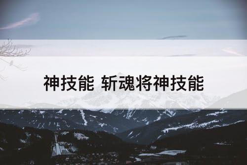 神技能 斩魂将神技能