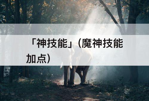 「神技能」(魔神技能加点)