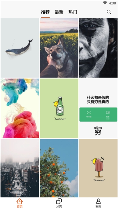 蜜蜂高清壁纸  v1.0图1