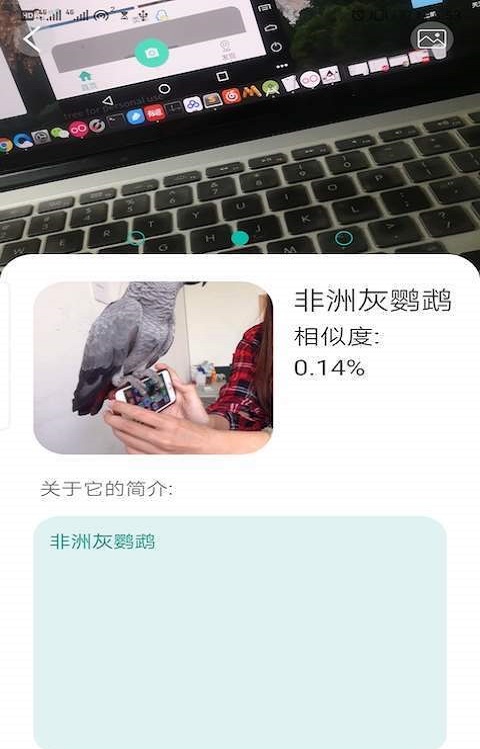 天天识别不用会员下载