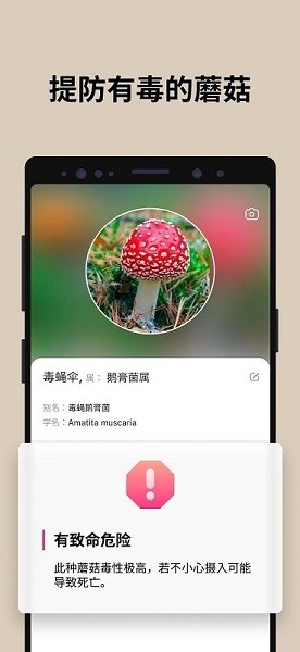 蘑菇识别扫一扫最新版  v2.9.17图2