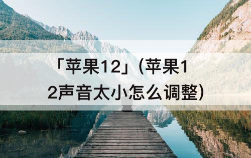 「苹果12」(苹果12声音太小怎么调整)